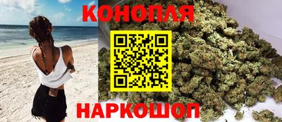 шишки Краснознаменск
