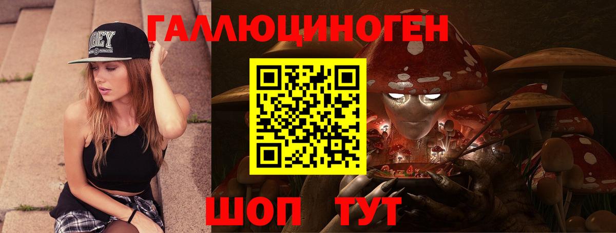 Псилоцибиновые грибы GOLDEN TEACHER  Псилоцибиновые грибы GOLDEN TEACHER  Вход с VPN  Чебоксары 
